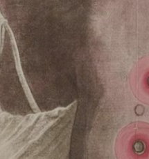 La expedición Balmis en el arte